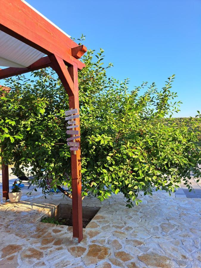 Guest House "The View" - With A Pool Donje Polje エクステリア 写真